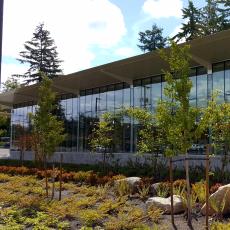 White Center Library